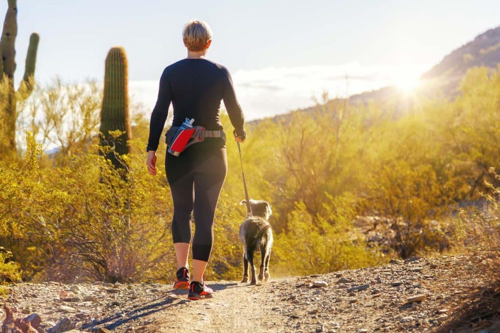 A woman walking her dog on a desert trail at sunset, with cacti and mountains in the background in peoria az